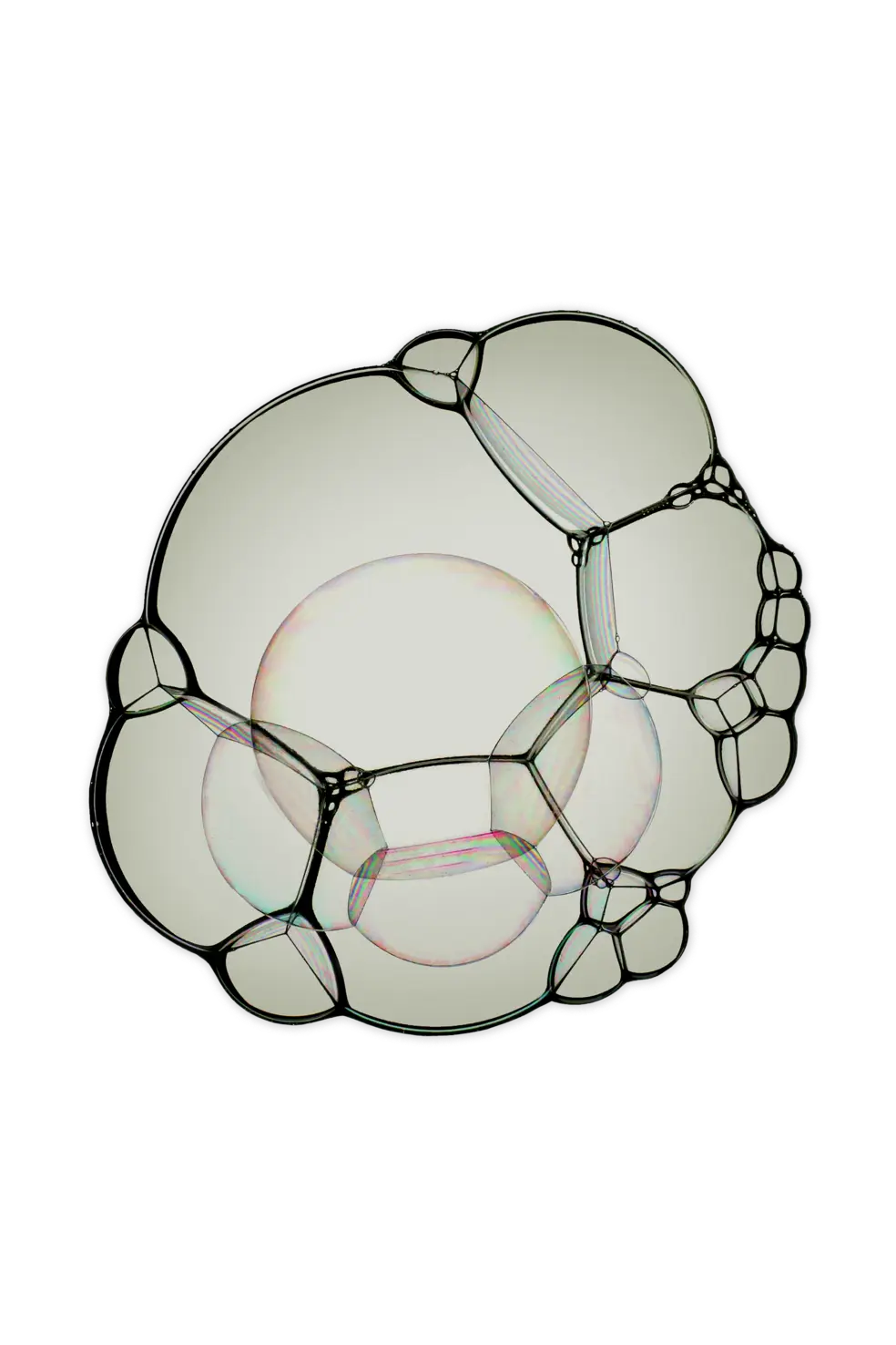 Bubble carpet Natural 